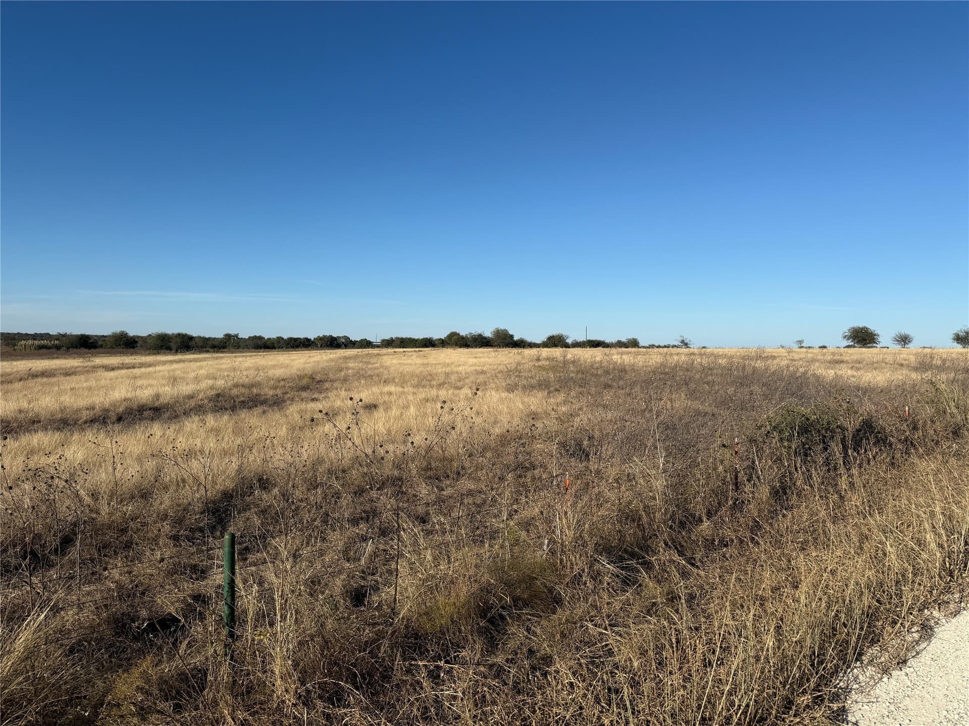 45.23 acres in Coryell County gallery image 2