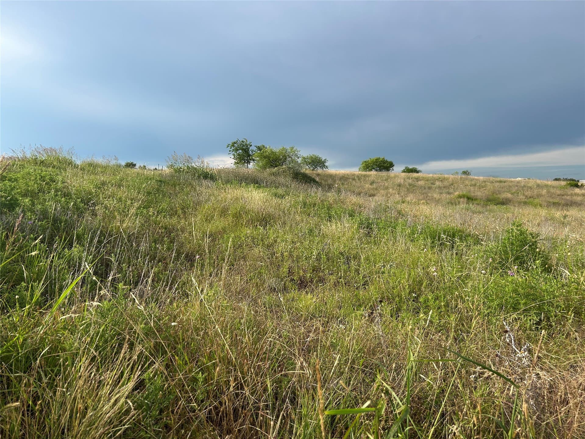 2.5 acres in Parker County - photo 8
