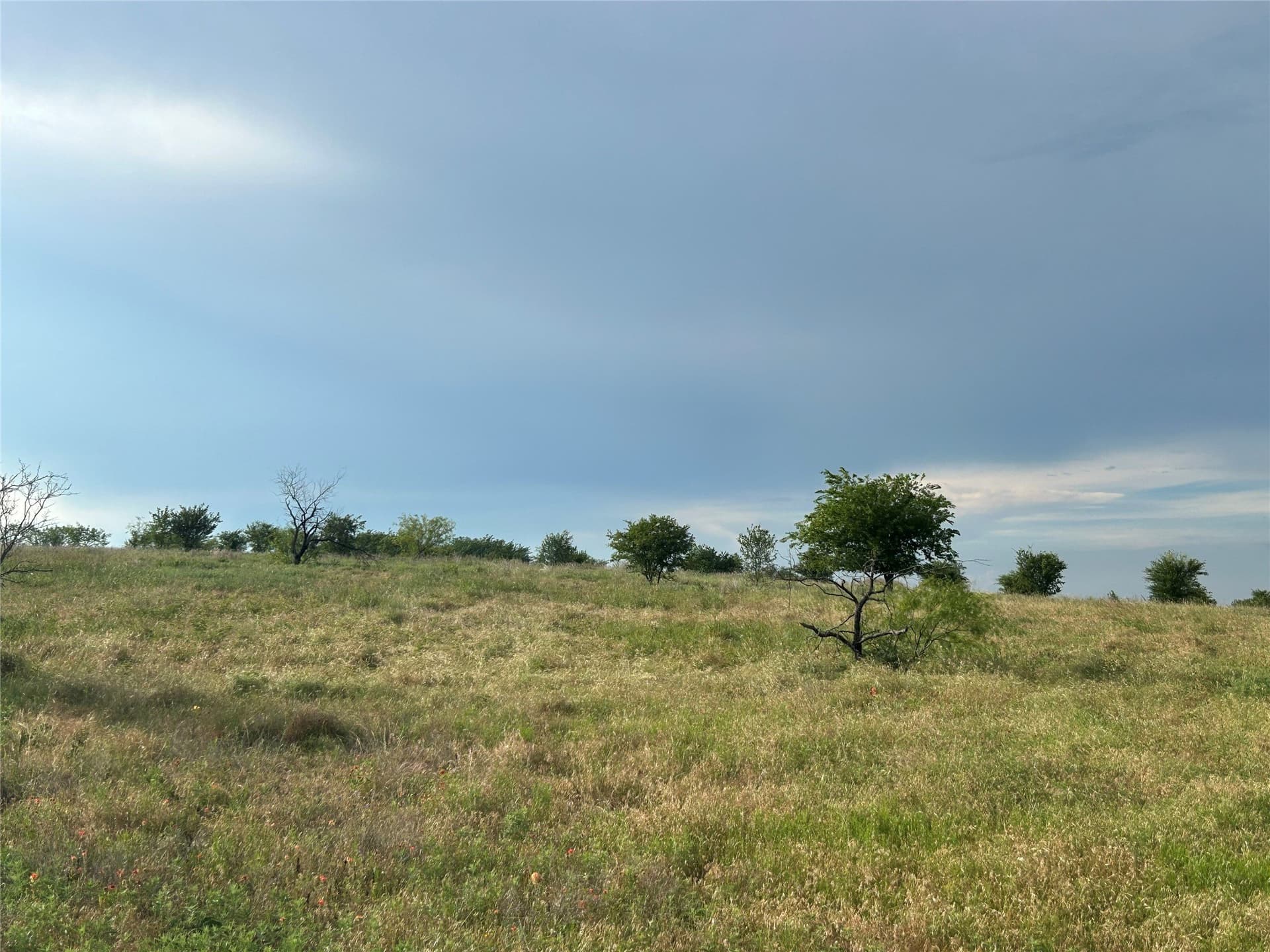2.5 acres in Parker County - photo 3