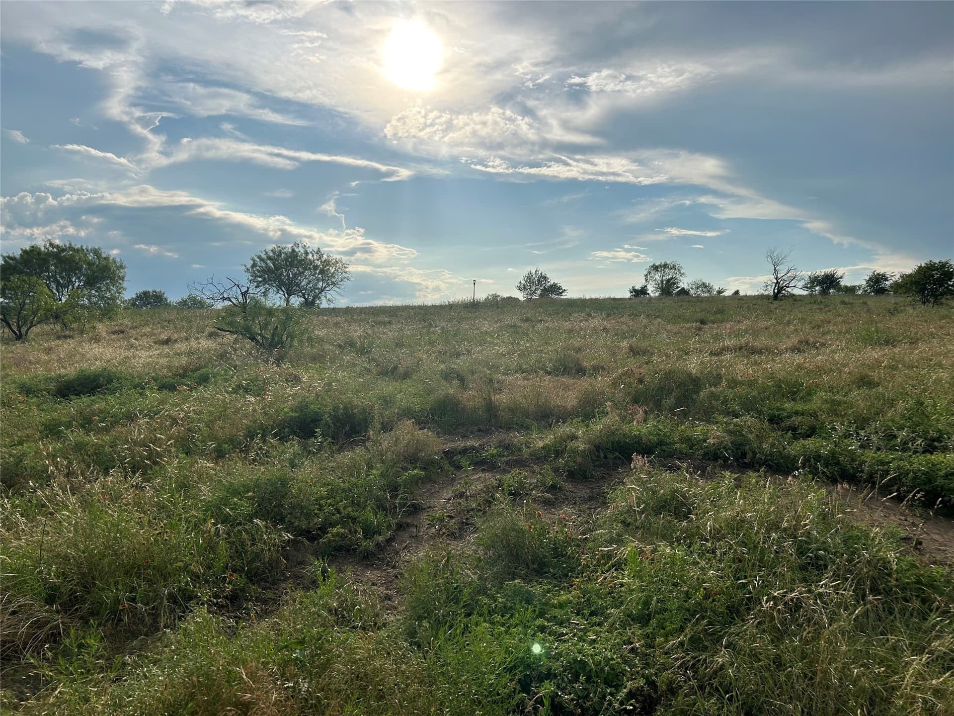 2.5 acres in Parker County - photo 6