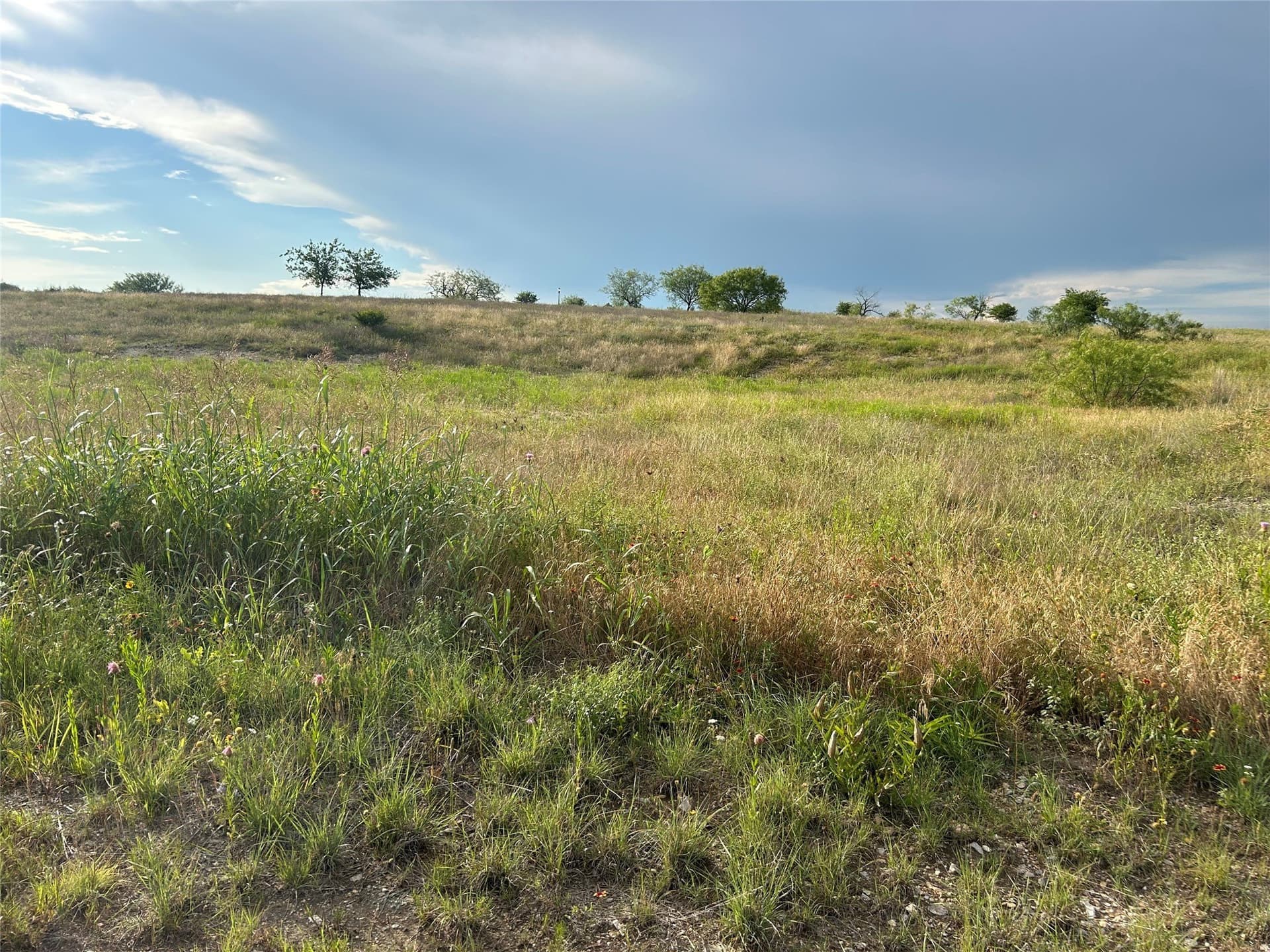 2.5 acres in Parker County - photo 9