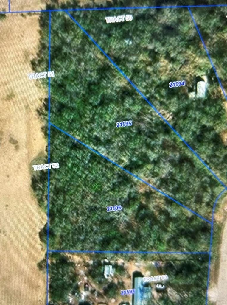 2 acres in Frio County - photo 7