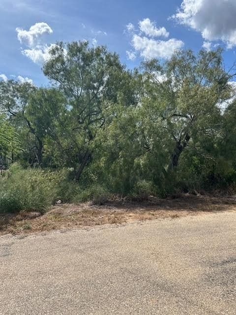 2 acres in Frio County - photo 6