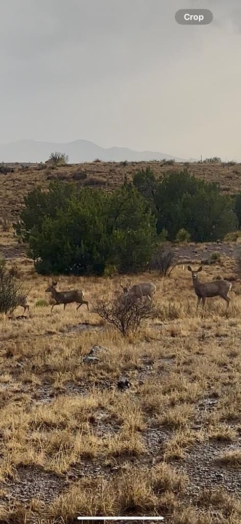 50 acres in Brewster County - photo 92