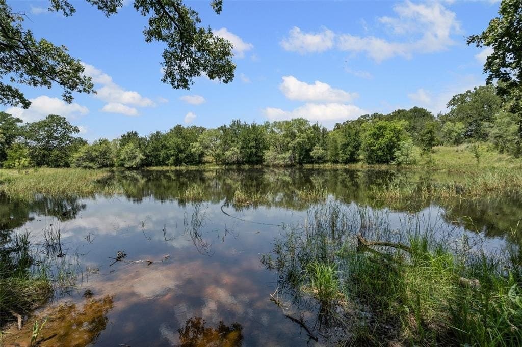 78.92 acres in Palo Pinto County gallery image 3