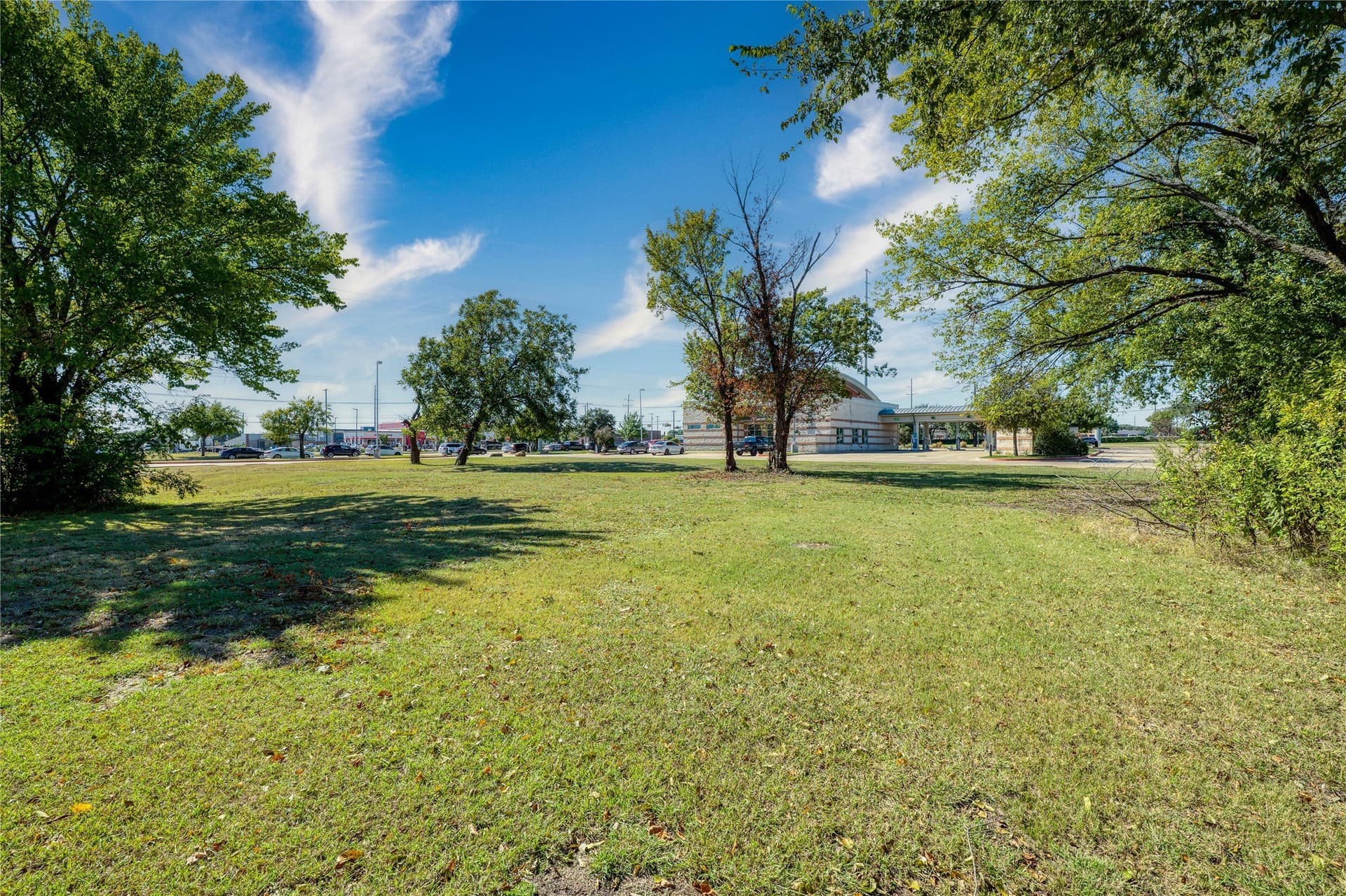0.76 acres in Dallas County - photo 6