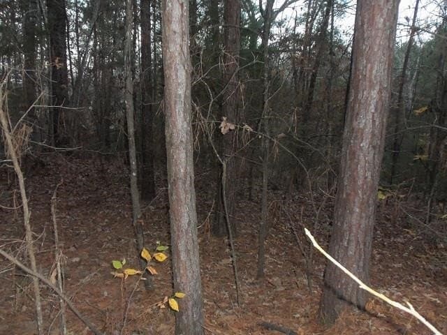 1.72 acres in Texas County - photo 6