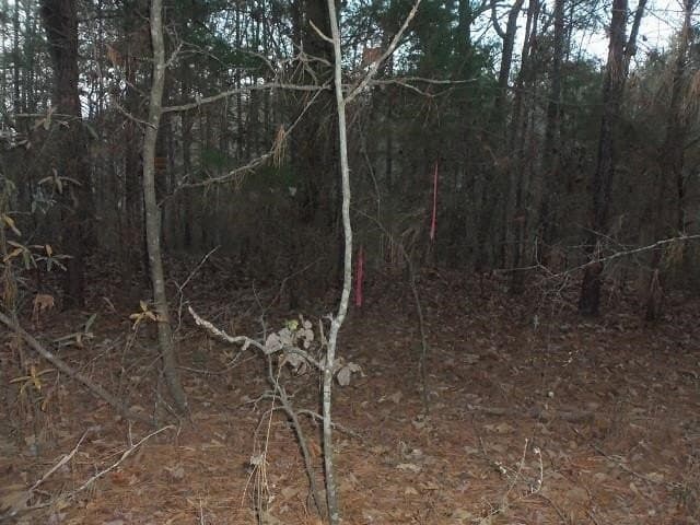 1.72 acres in Texas County - photo 7