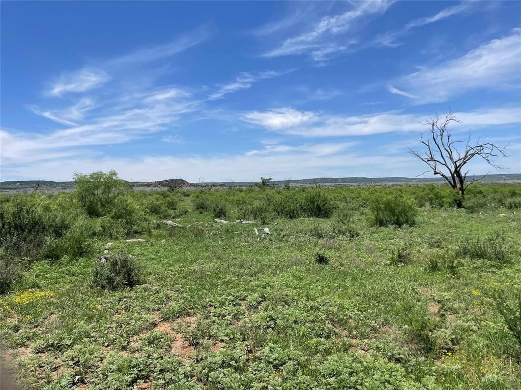 100 acres in Taylor County
