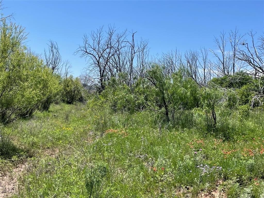 100 acres in Taylor County gallery image 4