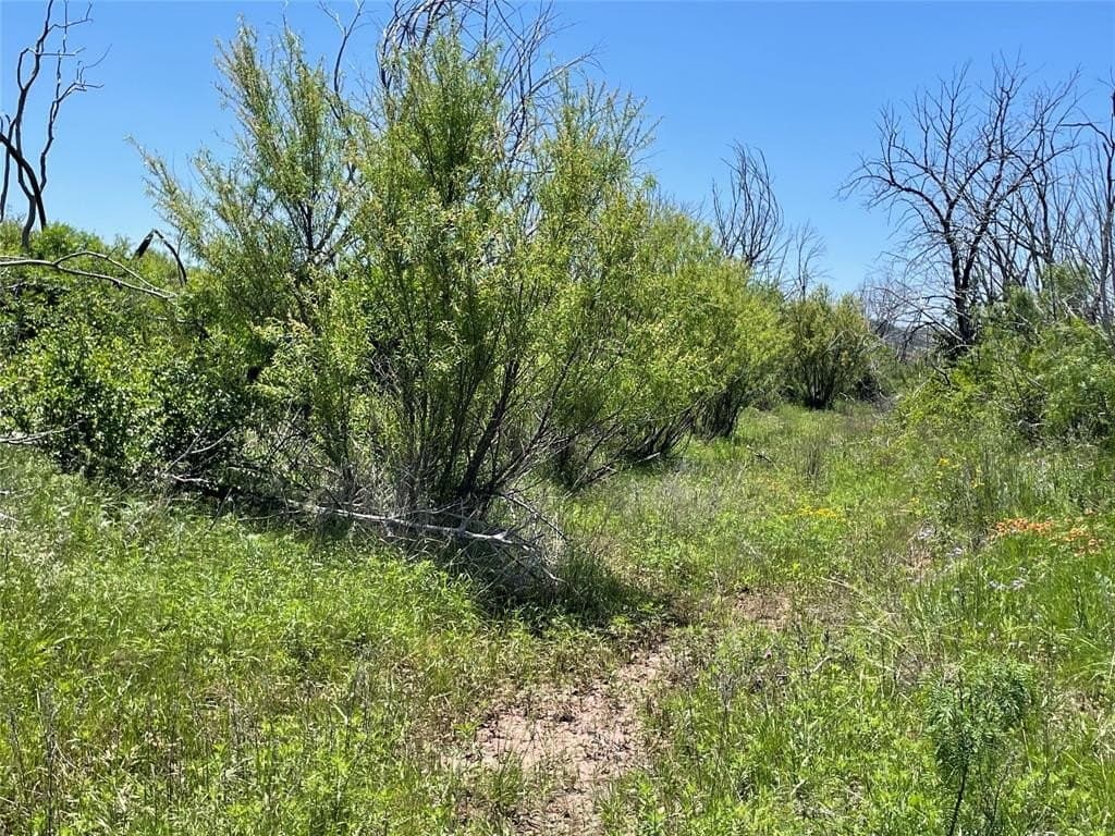 100 acres in Taylor County gallery image 3