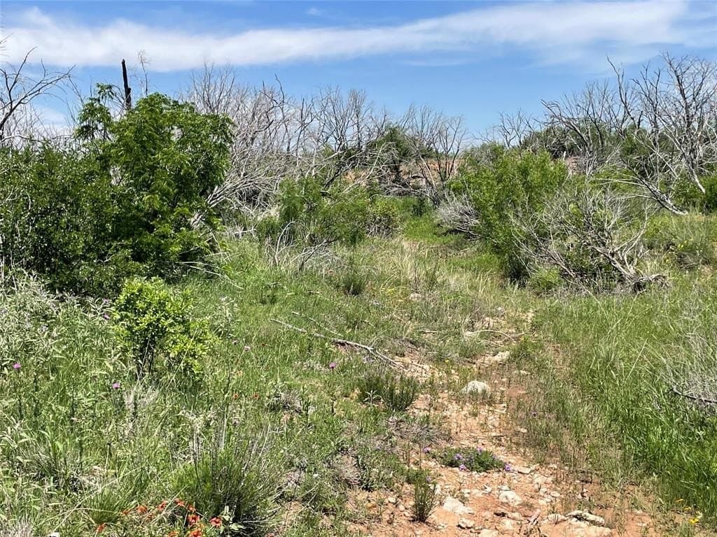 100 acres in Taylor County featured view