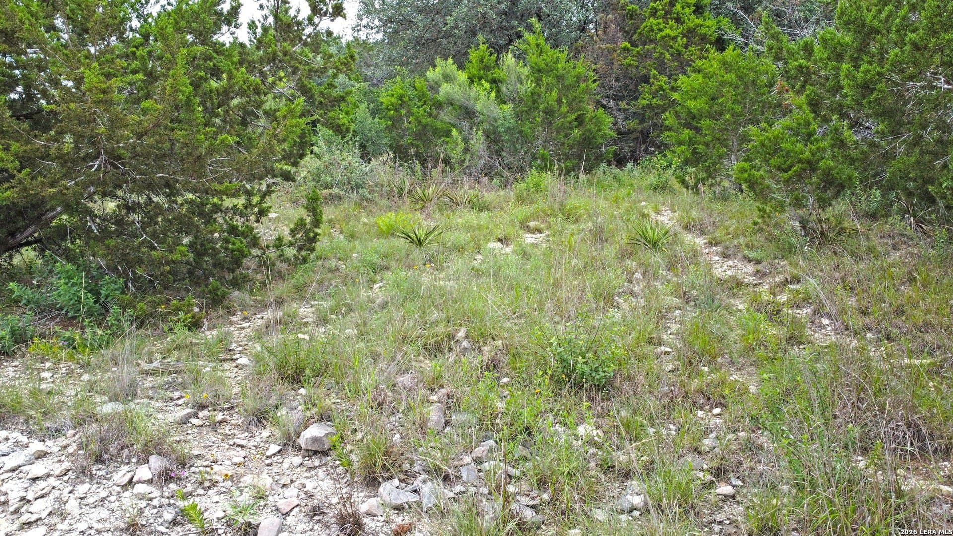 0.78 acres in Comal County - photo 9