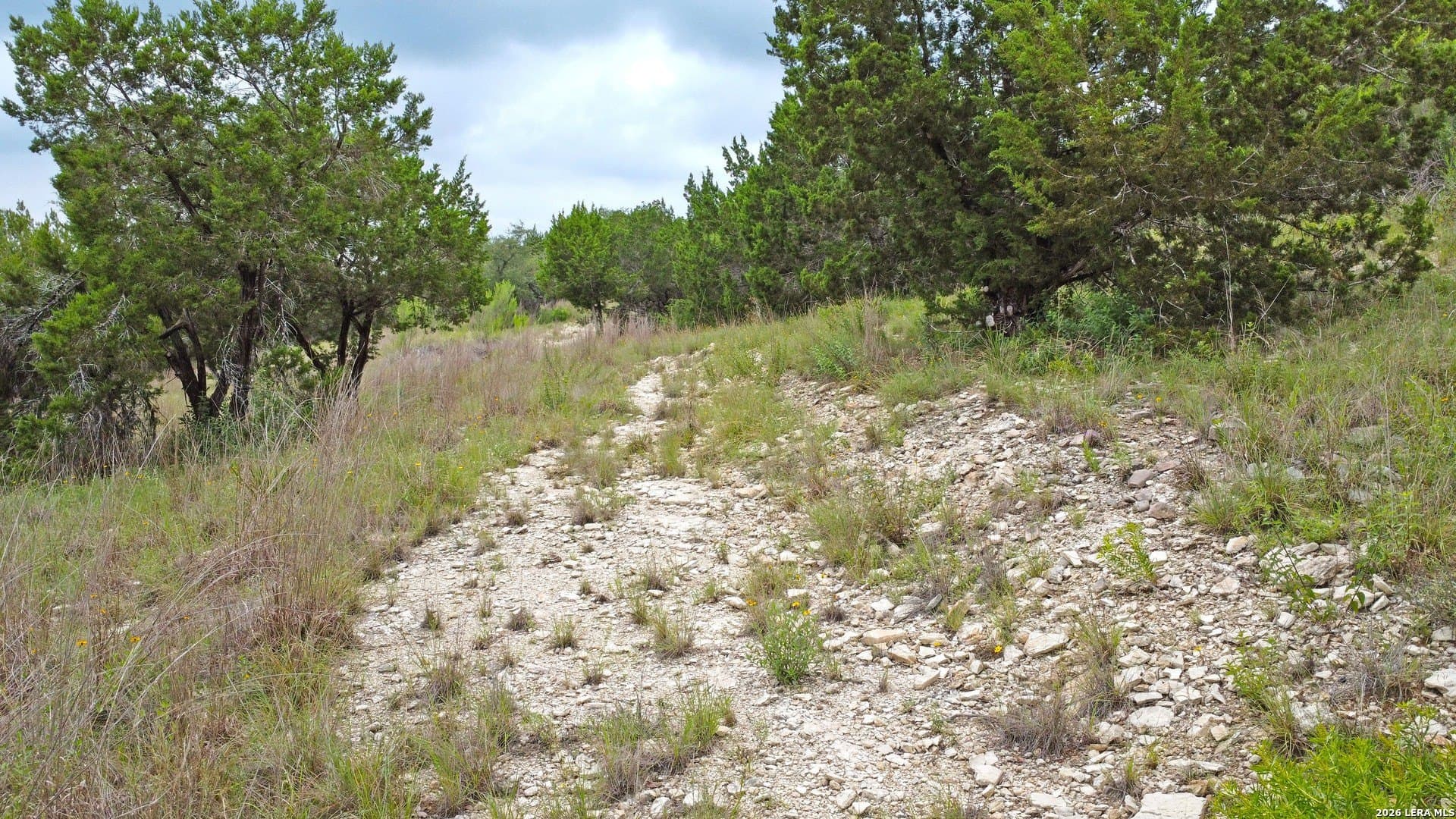 0.78 acres in Comal County - photo 8