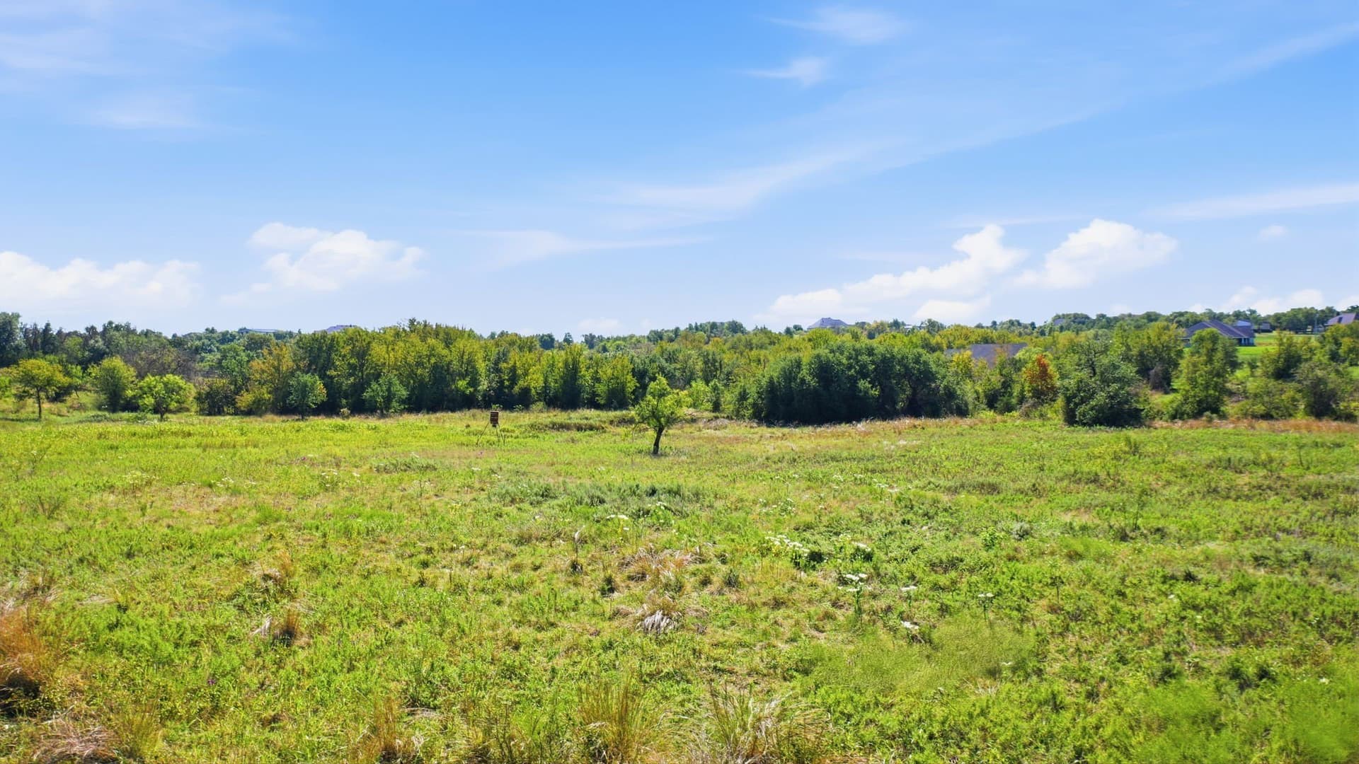6.17 acres in Erath County - photo 12