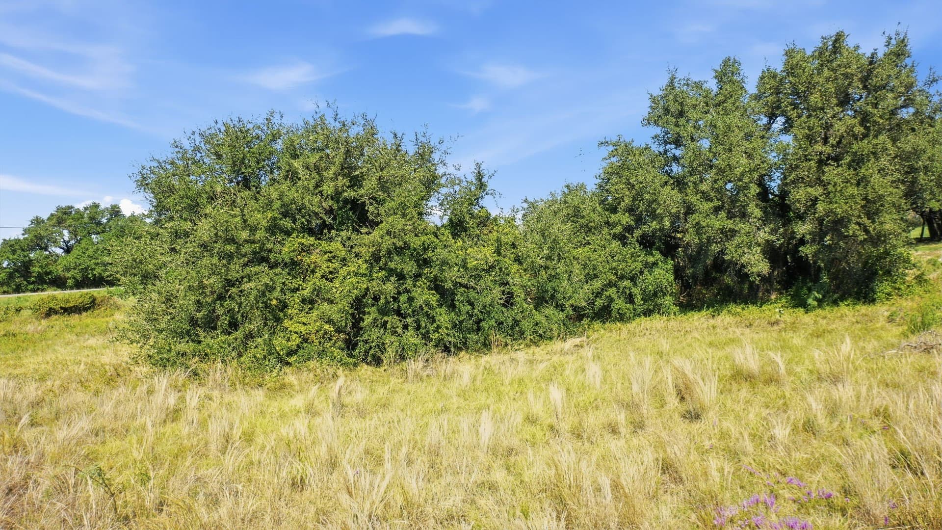 6.17 acres in Erath County - photo 10