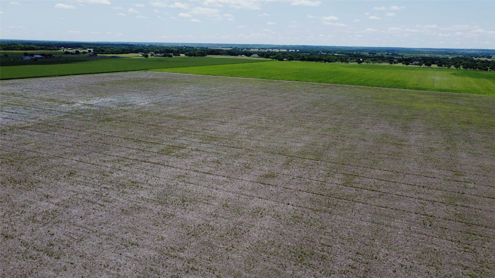 5 acres in Johnson County gallery image 2