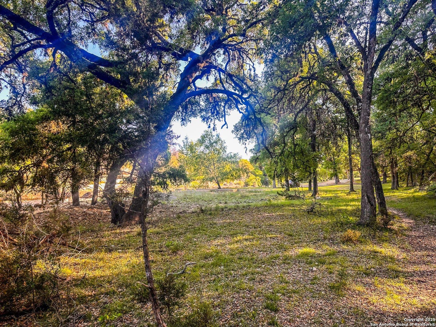 0.24 acres in Bandera County - photo 10