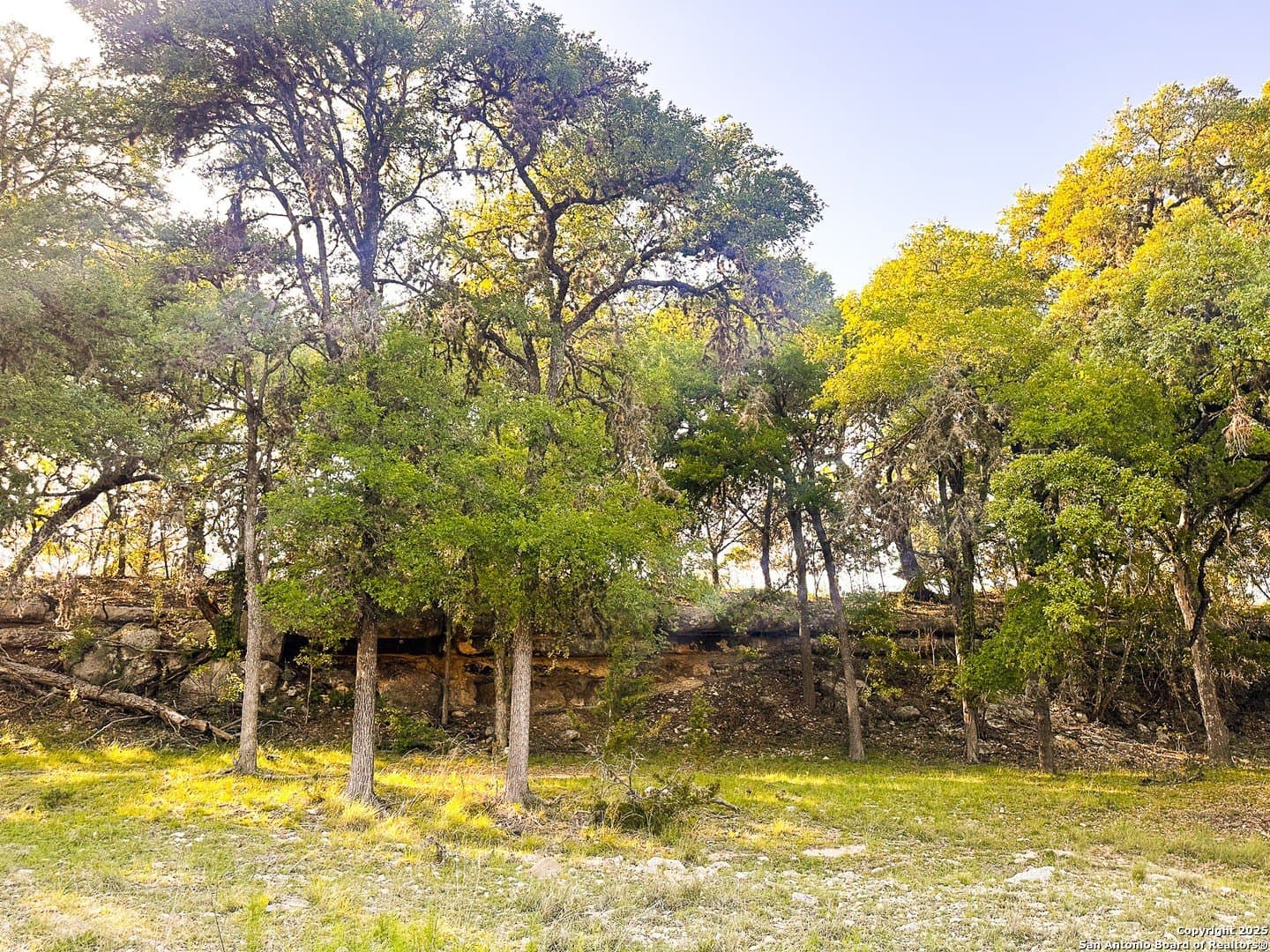 0.24 acres in Bandera County - photo 8