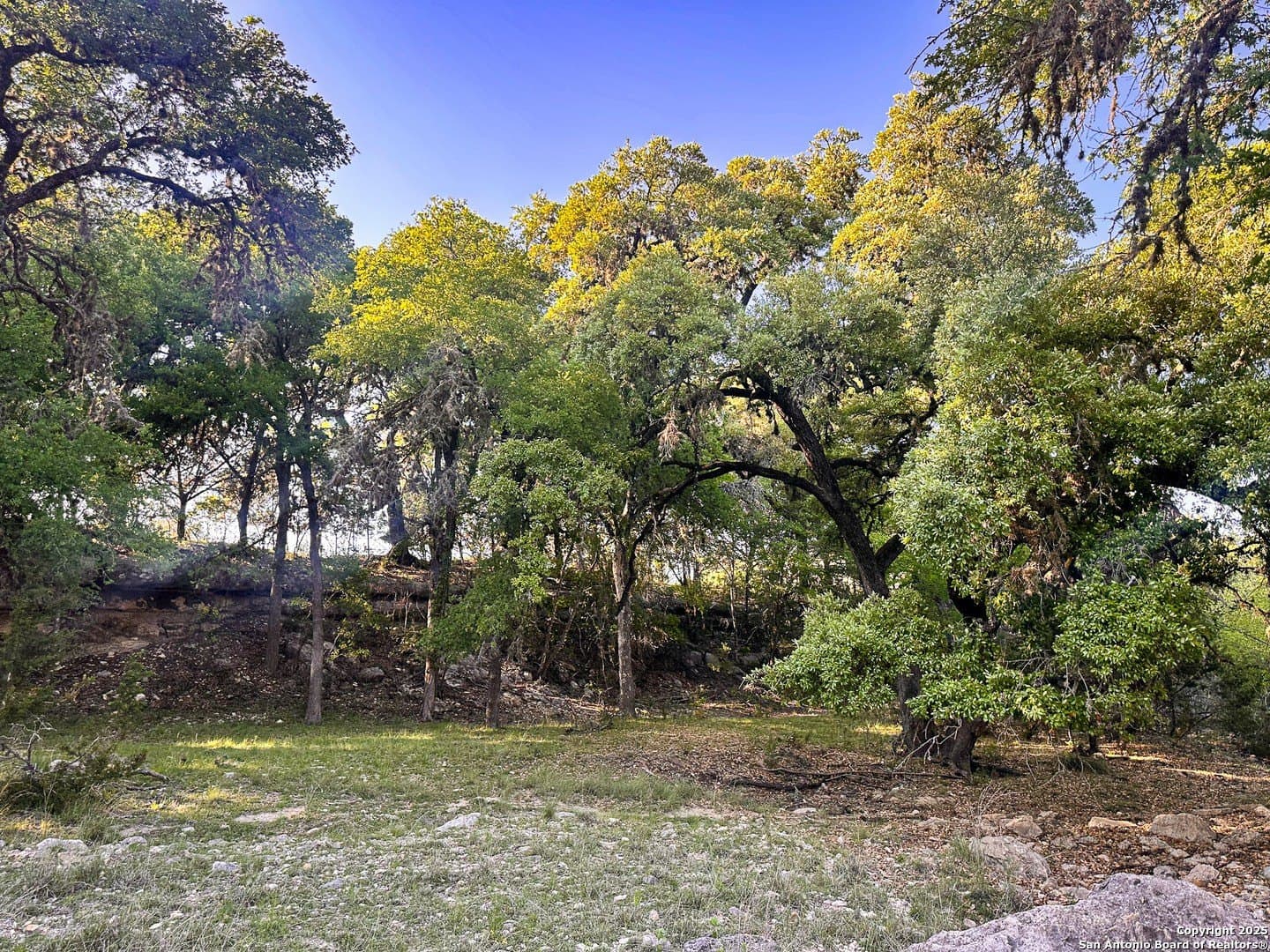 0.24 acres in Bandera County - photo 7