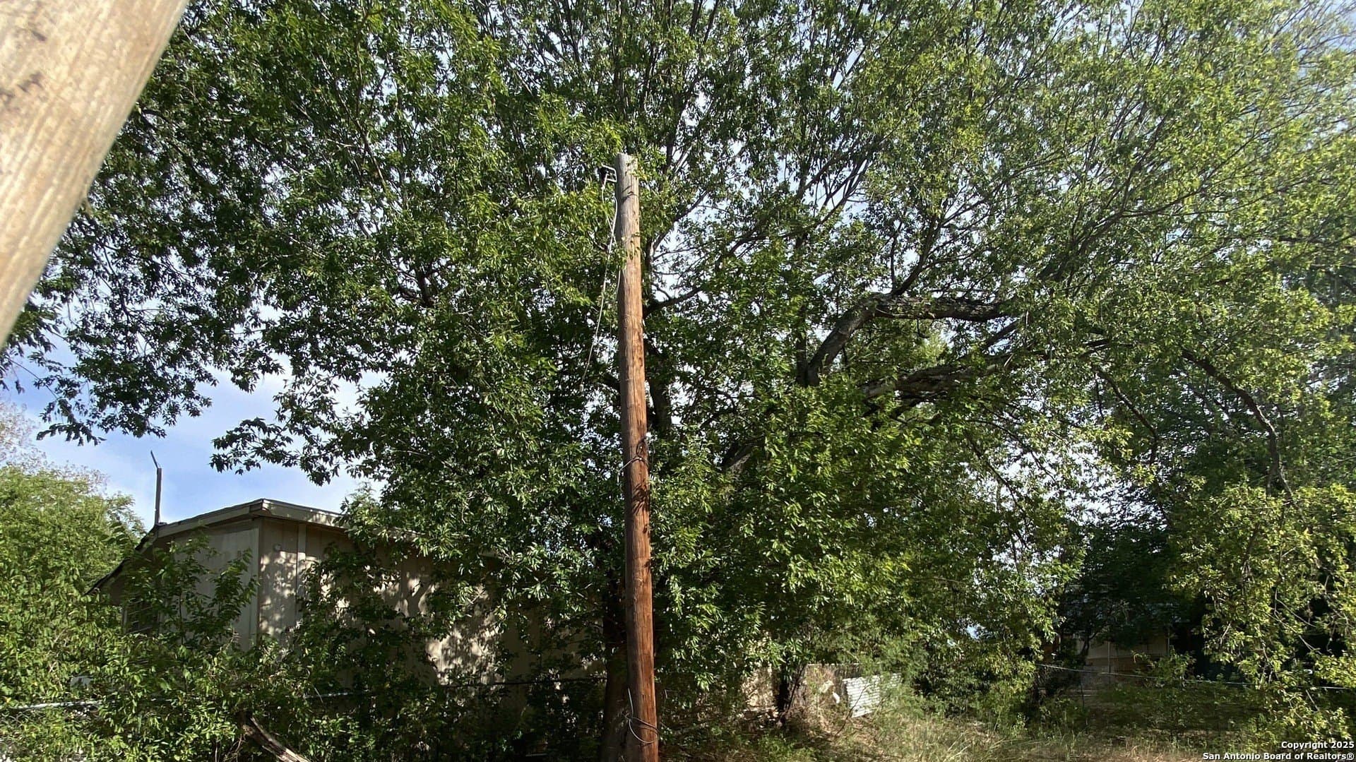 0.22 acres in Bexar County - photo 7