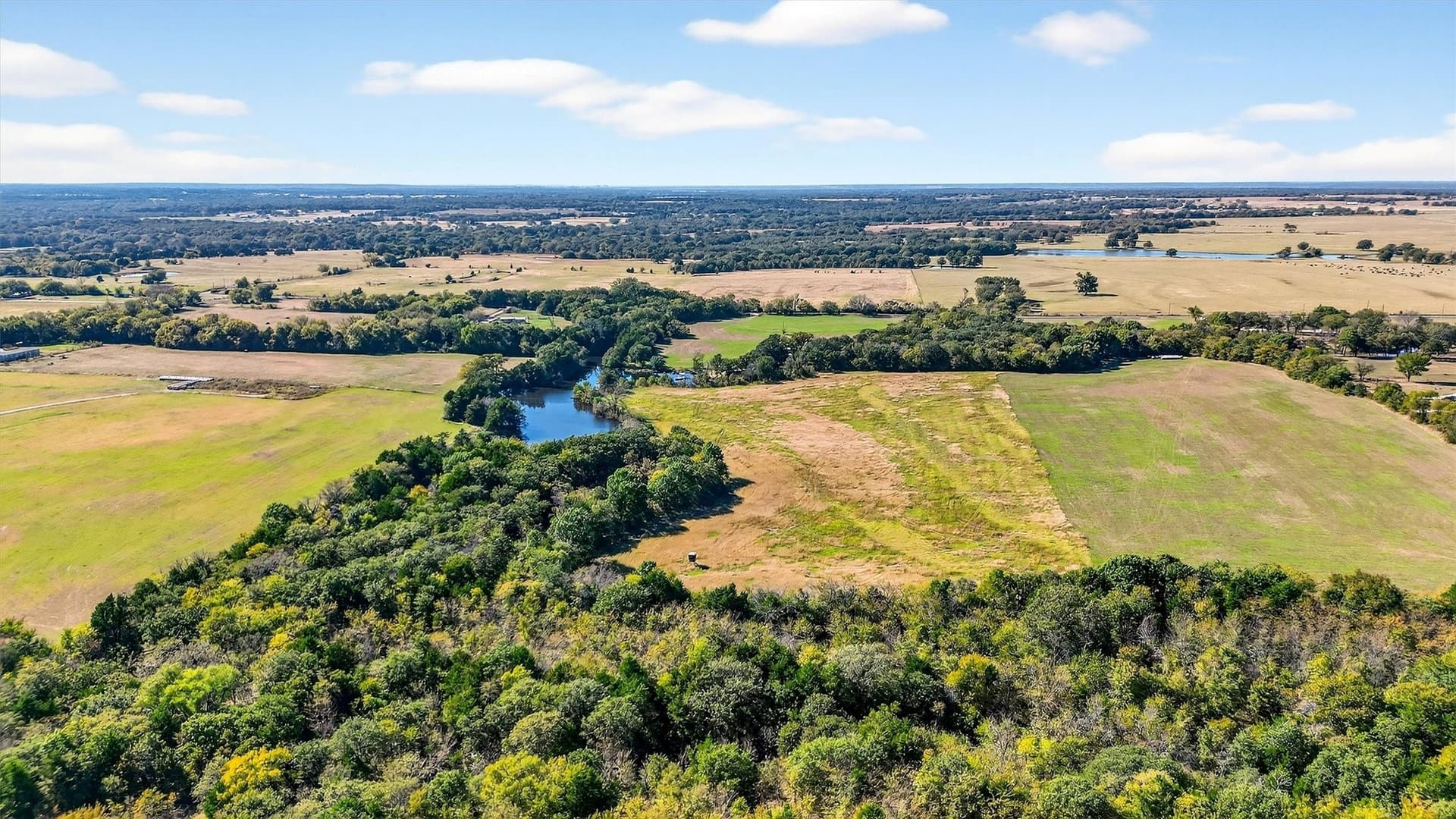 33.1 acres in Grayson County - photo 16