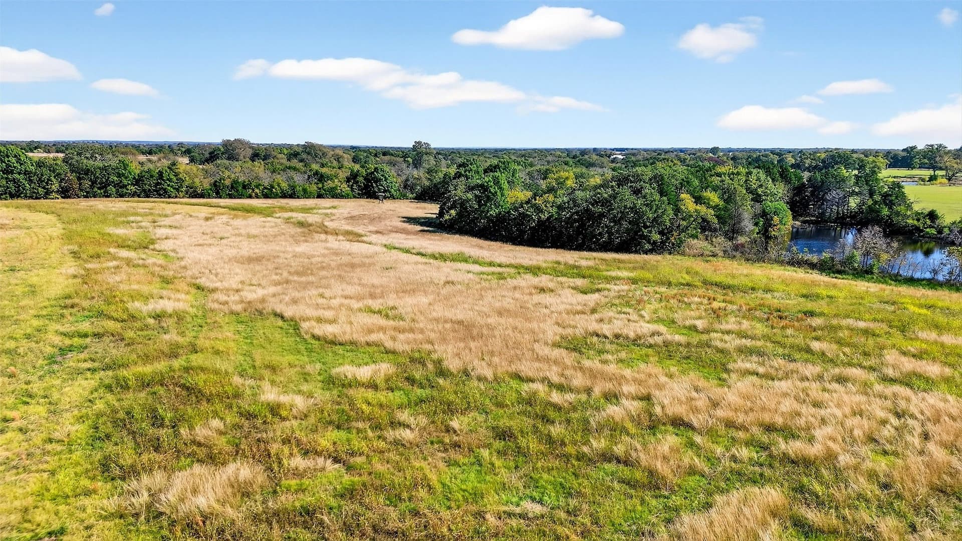 33.1 acres in Grayson County - photo 27