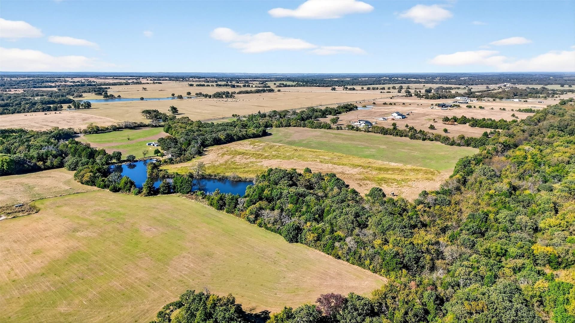 33.1 acres in Grayson County - photo 18
