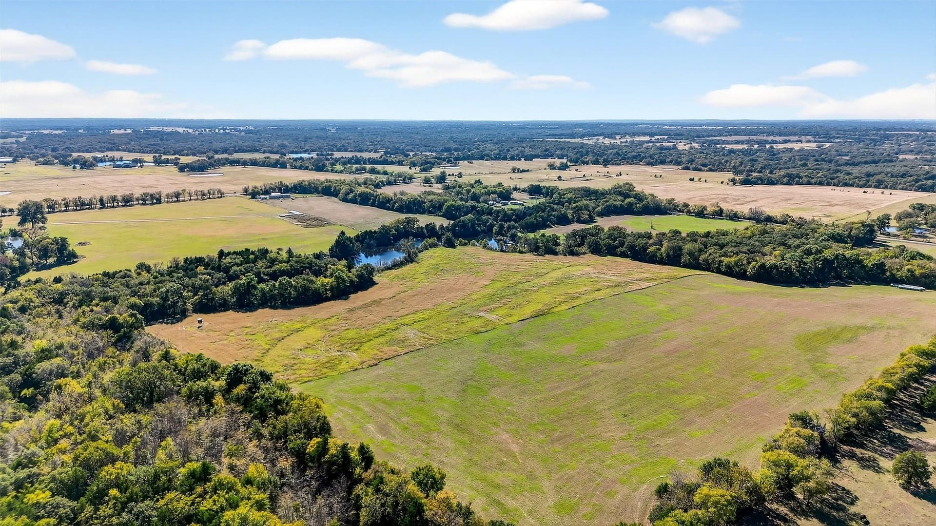 33.1 acres in Grayson County - photo 8