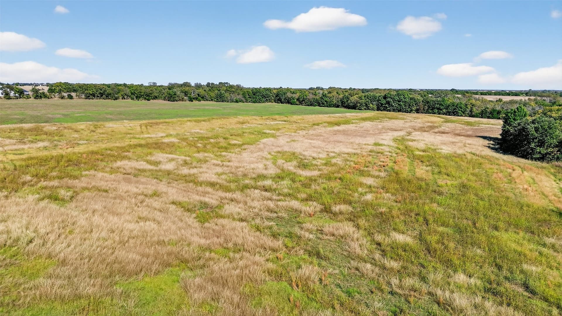 33.1 acres in Grayson County - photo 26