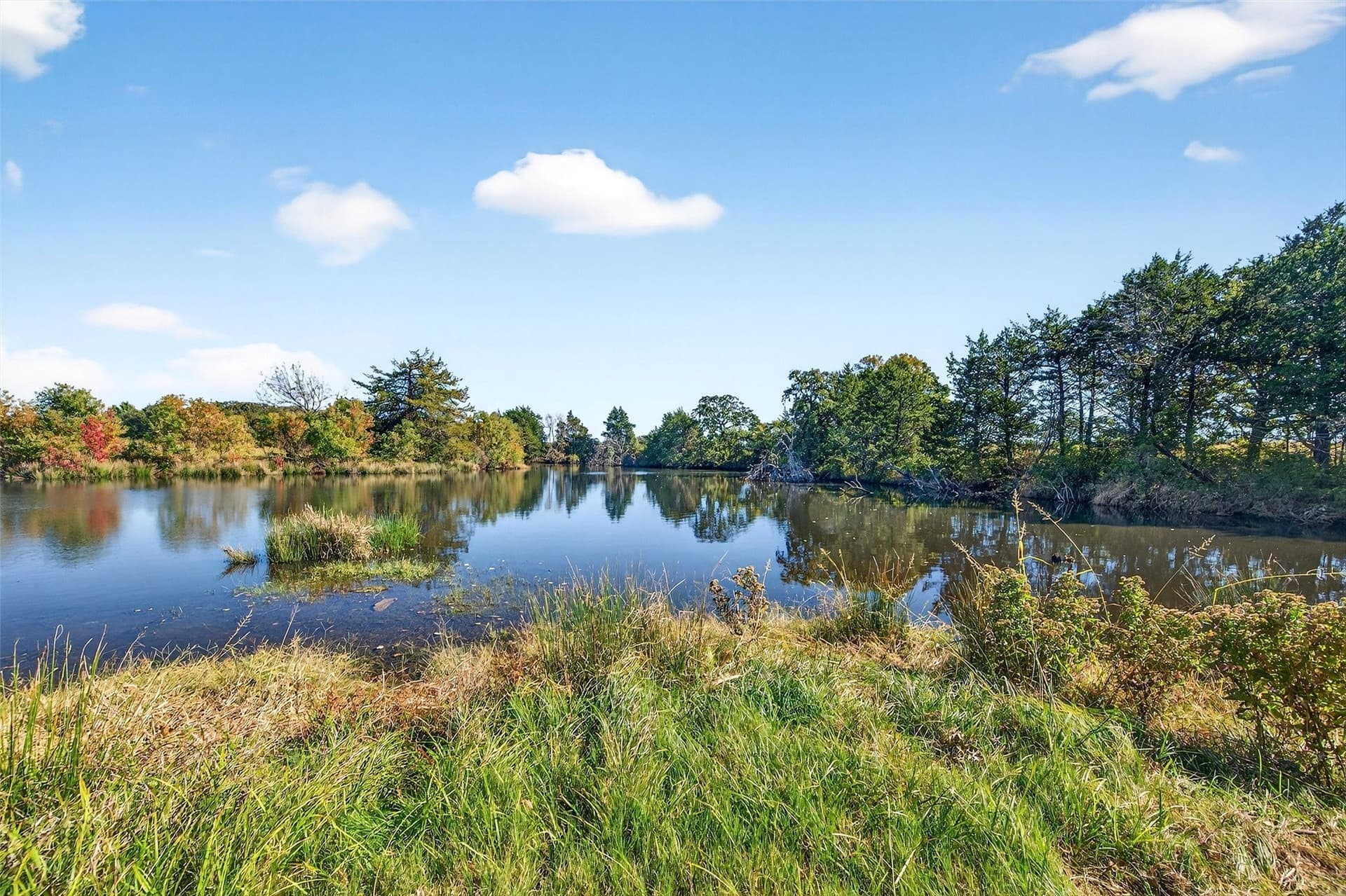 33.1 acres in Grayson County - photo 3