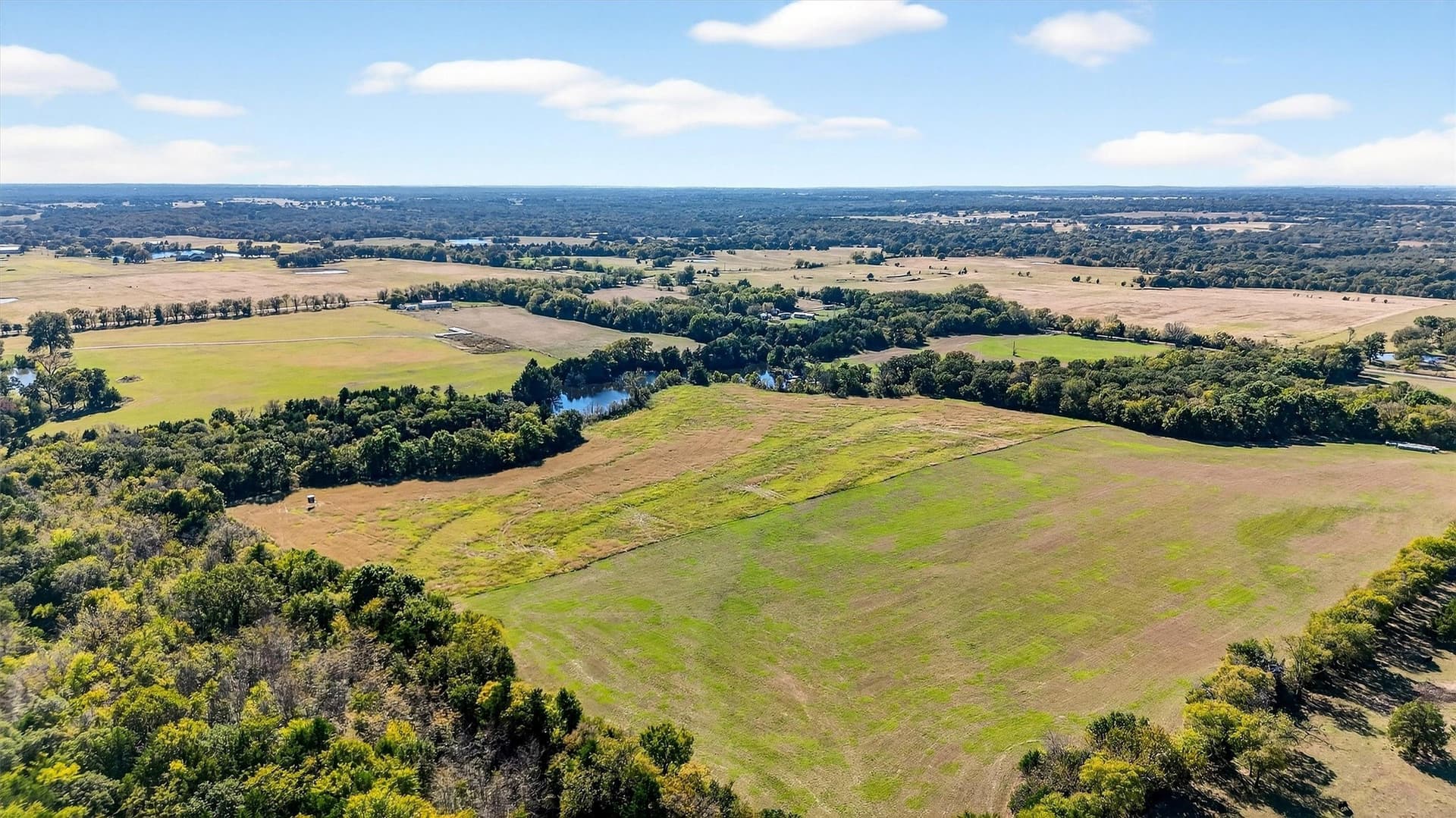 33.1 acres in Grayson County - photo 12
