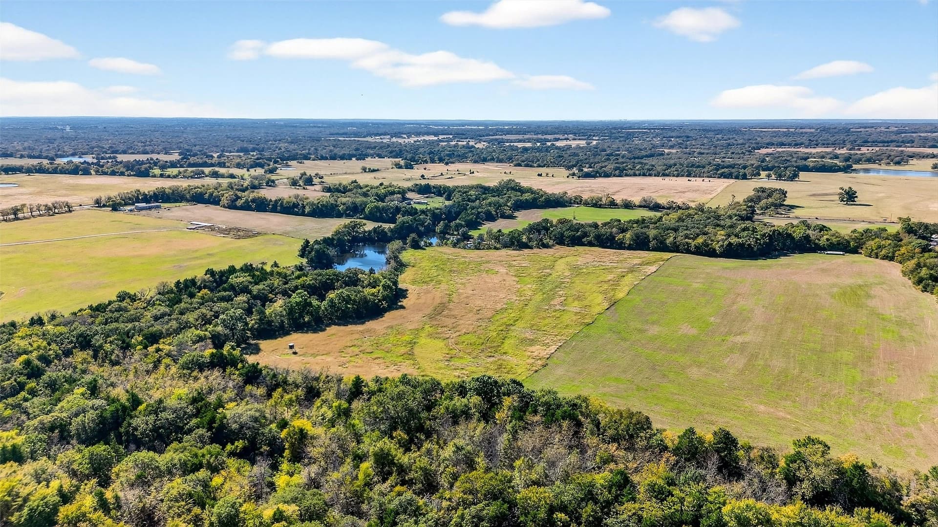 33.1 acres in Grayson County - photo 14