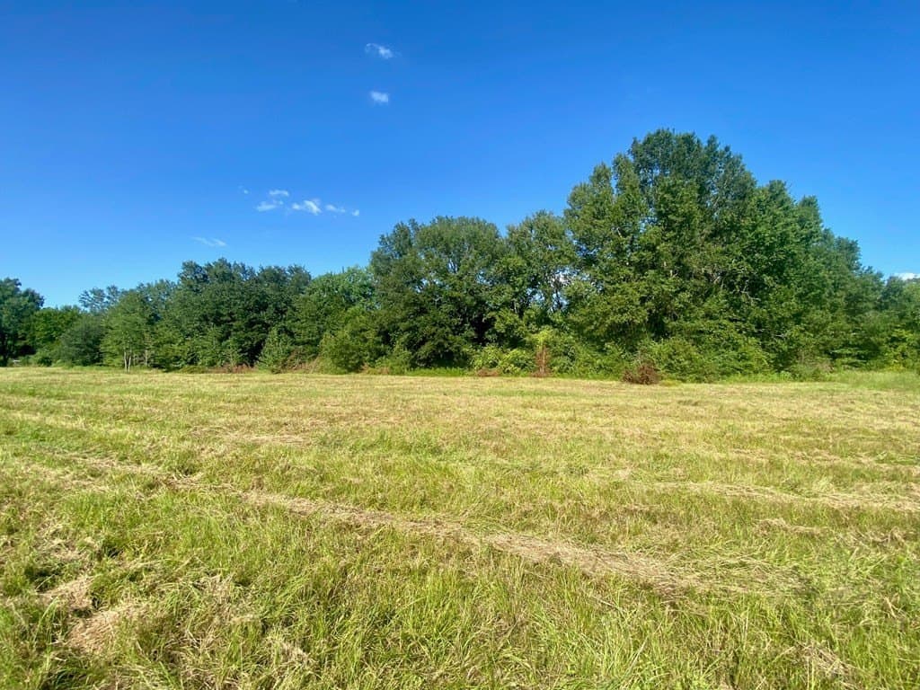 0.2 acres in Texas County - photo 7