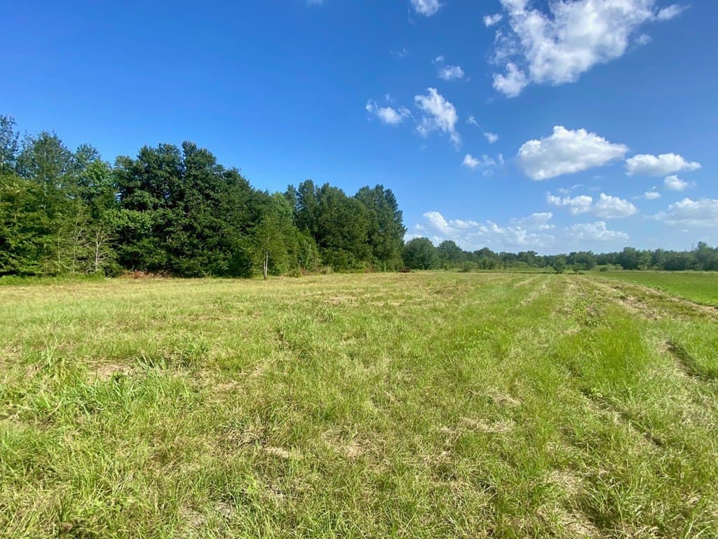 0.2 acres in Texas County - photo 8