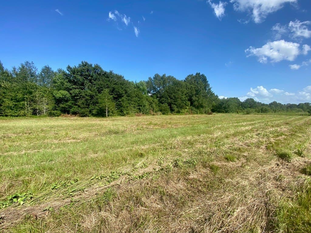 0.2 acres in Texas County - photo 3