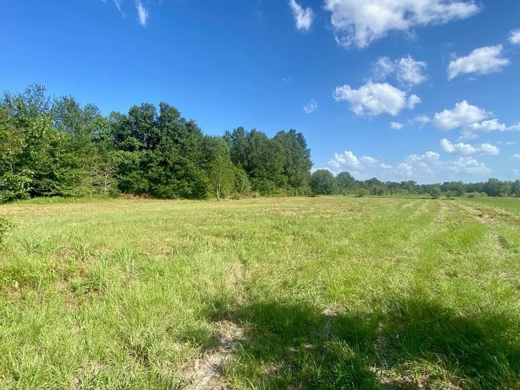 0.2 acres in Texas County - photo 2