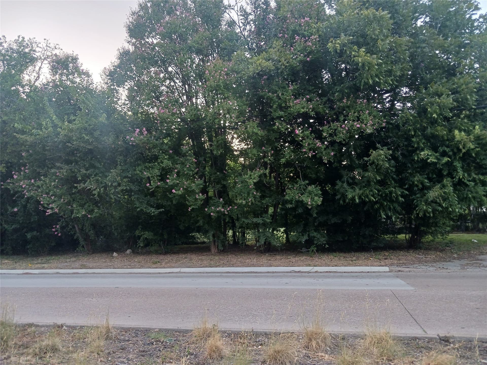 0.21 acres in Dallas County - photo 3