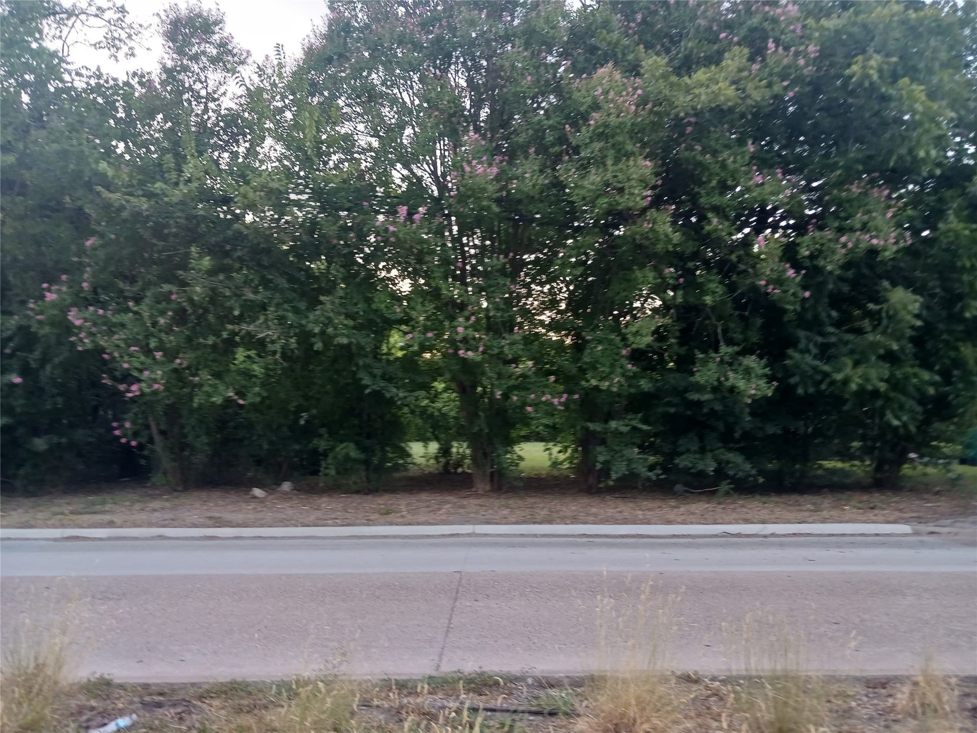 0.21 acres in Dallas County - photo 4