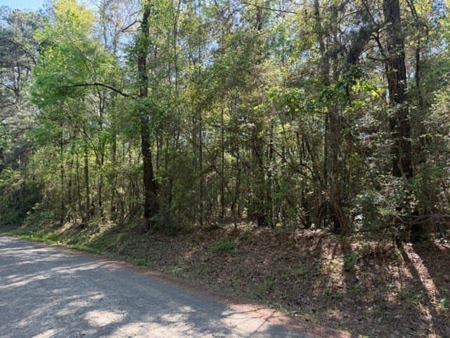 5.13 acres in Texas County featured view