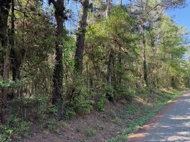 5.13 acres in Texas County gallery image 4