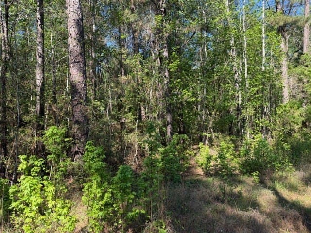 5.13 acres in Texas County - photo 7