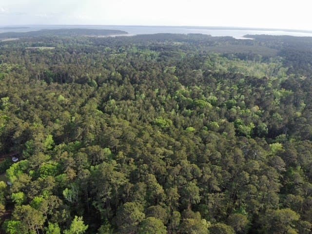 5.13 acres in Texas County gallery image 3