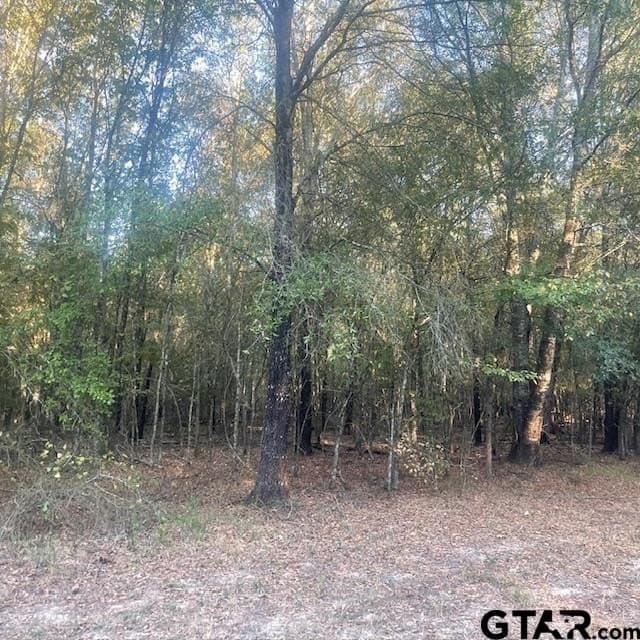 188.74 acres in Wood County gallery image 3