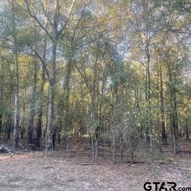 188.74 acres in Wood County gallery image 4