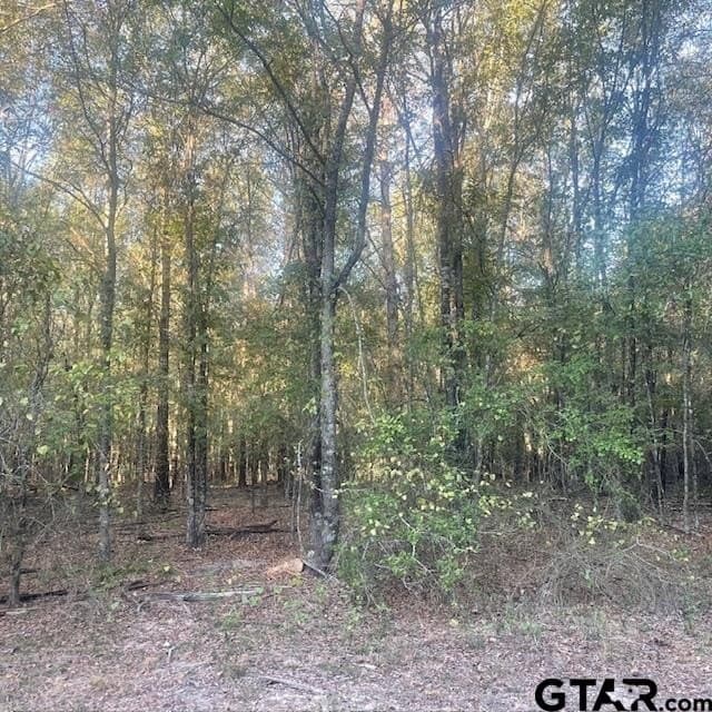 188.74 acres in Wood County gallery image 2