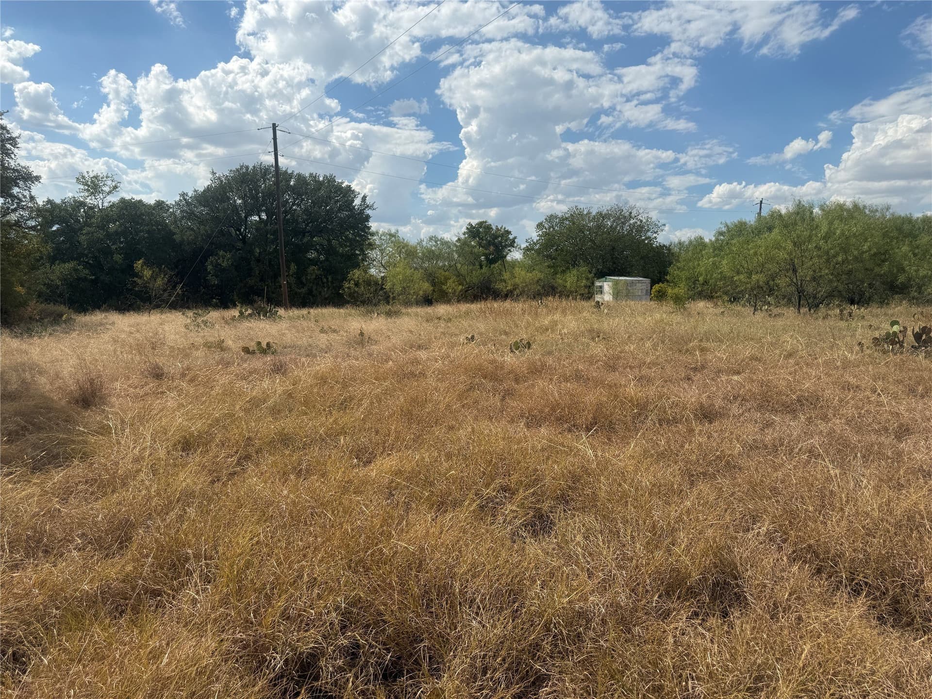 2.75 acres in Comanche County - photo 2