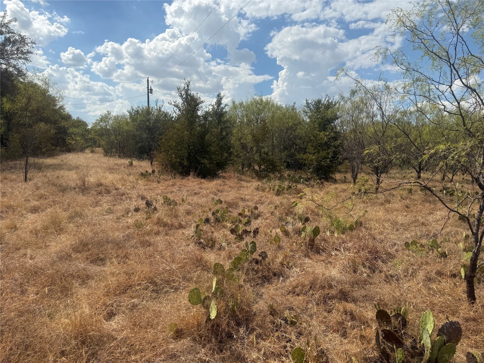 2.75 acres in Comanche County - photo 4