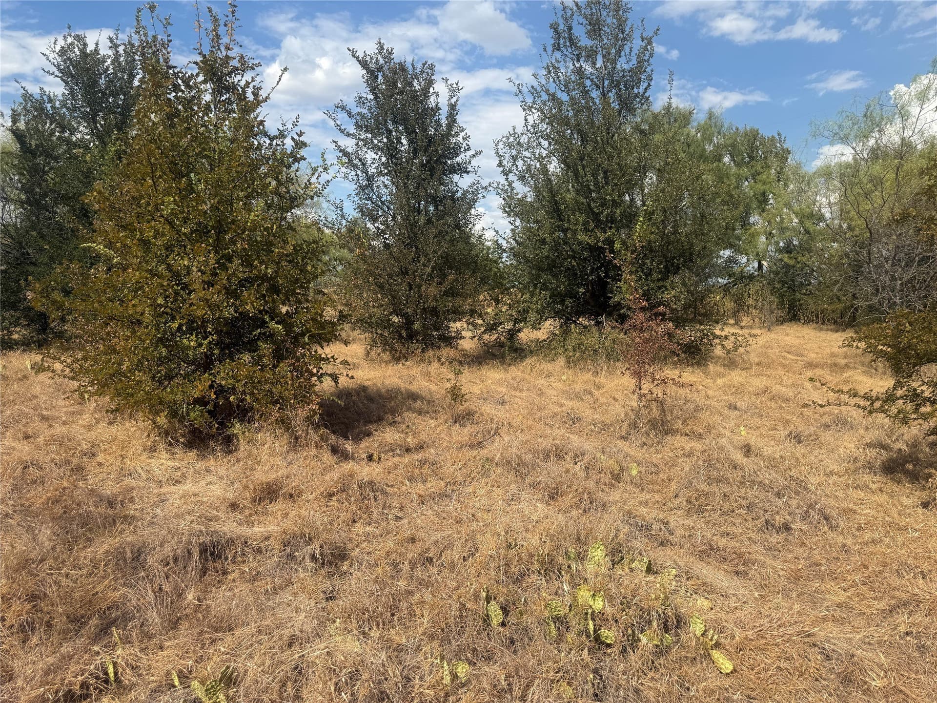 2.75 acres in Comanche County - photo 3