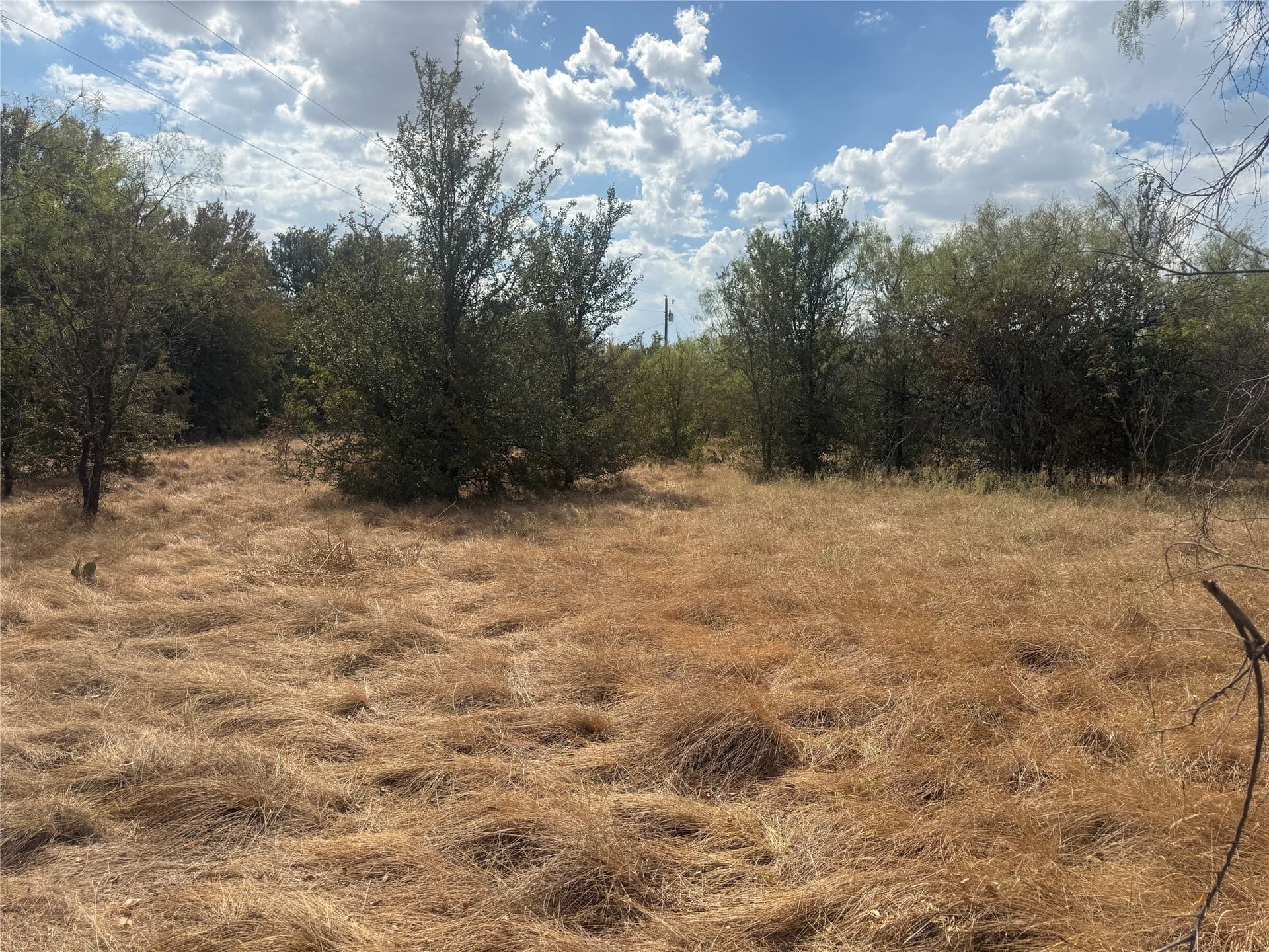 2.75 acres in Comanche County - photo 5